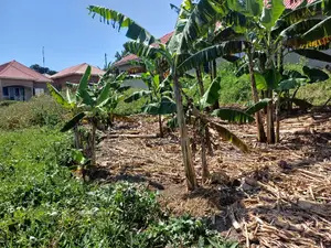 Affordable Plot on Quick Sale in Nsangi Near Police Post