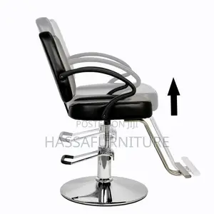 Simple Salon Chair Brand New