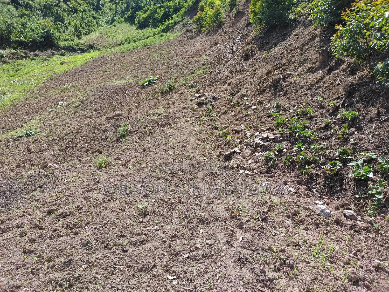 Land in Kigata-Kabale District (1.5 Acres)