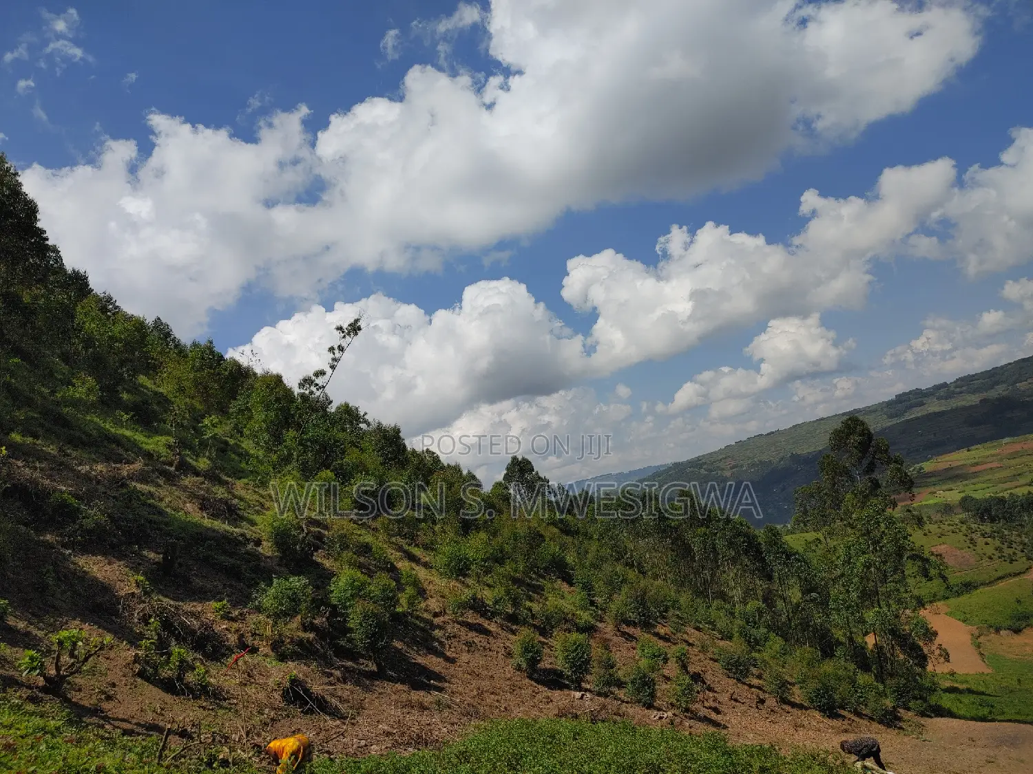 Land in Kigata-Kabale District (1.5 Acres)