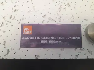 Acoustic Ceiling Tiles (AMF Brand)