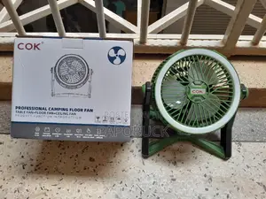 Professional Camping Floor Fan