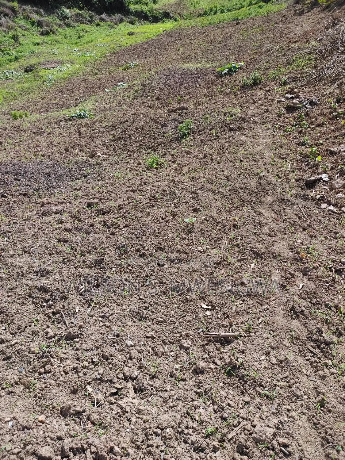 Land in Kigata-Kabale District (1.5 Acres)