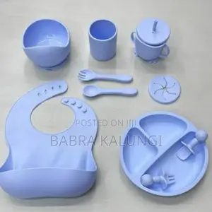 Baby Silicone Feeder Set