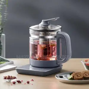 Electric Base Healthcare Medicine Automatc Tea Cooking Pot