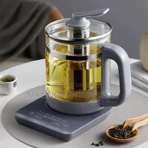 Electric Base Healthcare Medicine Automatc Tea Cooking Pot