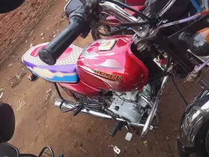 Bajaj Boxer 100 2019 Red