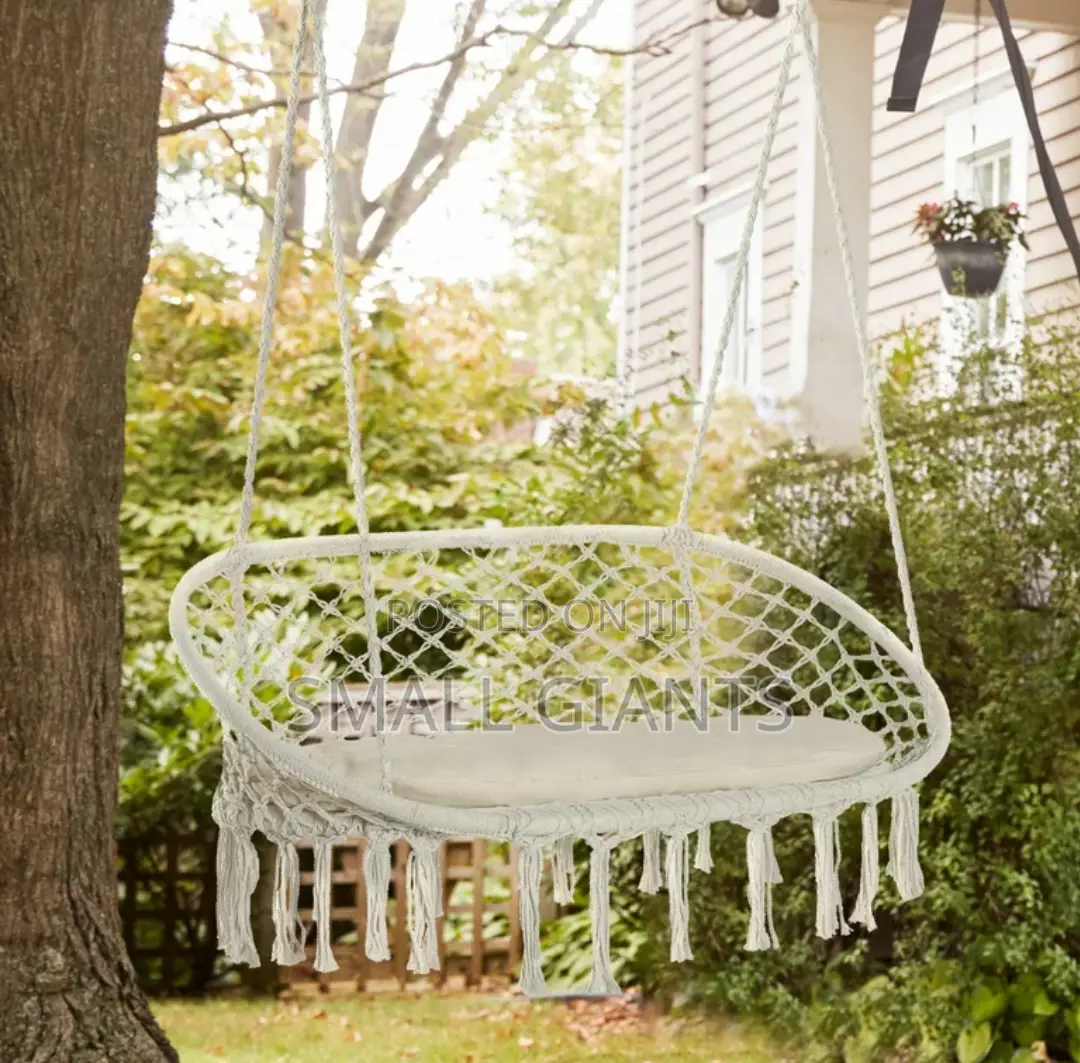 Double Hanging Luxury Chair