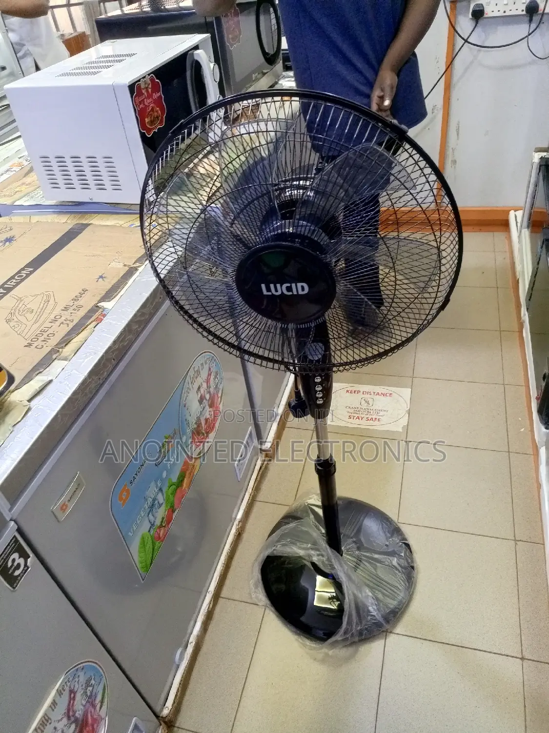 Lucid Wall Fans Black