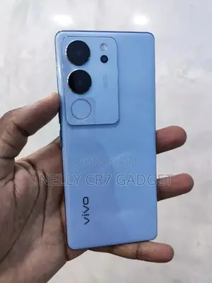 Vivo V29 5G 256 GB Gray