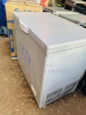 250L Deepfreezer for Business and Ice