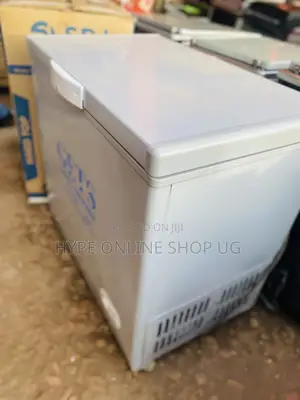 250L Deepfreezer for Business and Ice