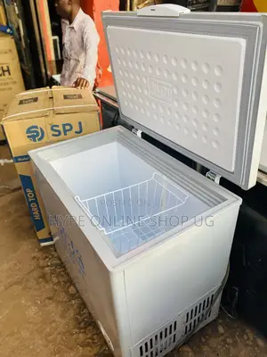250L Deepfreezer for Business and Ice