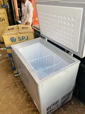 250L Deepfreezer for Business and Ice