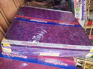 Euro Foam High Density Mattress 6*5*8.Inches