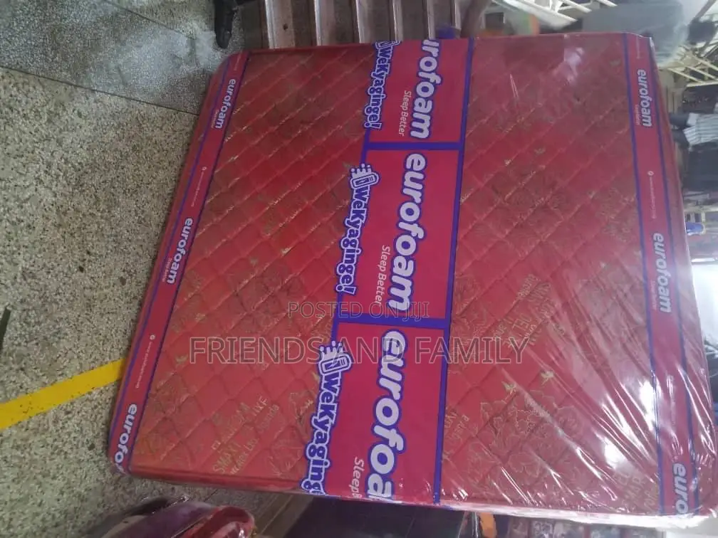 Euro Foam Dulexe 6*5*6.Inches