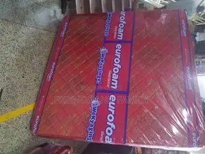 Euro Foam Dulexe 6*5*6.Inches