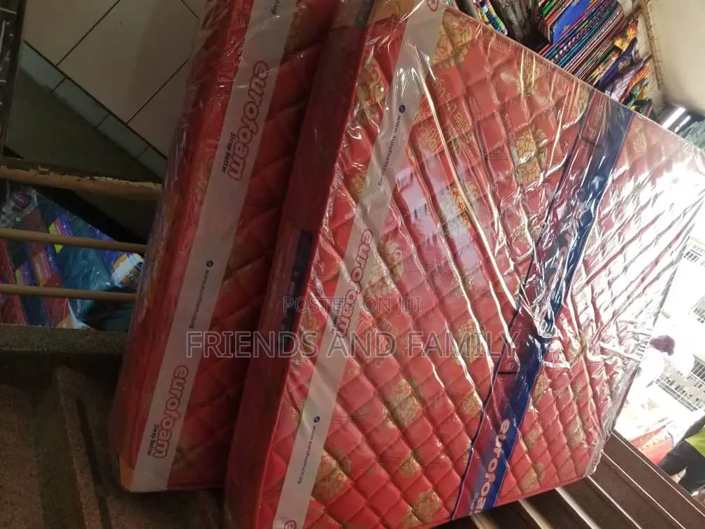 Euro Foam Dulexe 6*4*6.Inches