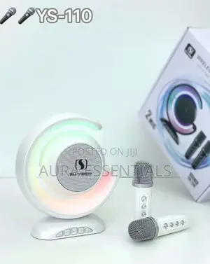 New YS110 High Power Wireless Light Show Speaker
