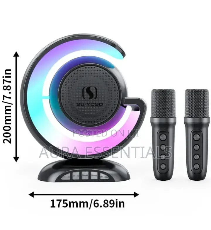 New YS110 High Power Wireless Light Show Speaker