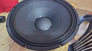 15inch Woofer/ 15 Speaker /Naked Speaker