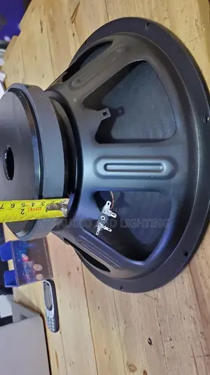 15inch Woofer/ 15 Speaker /Naked Speaker