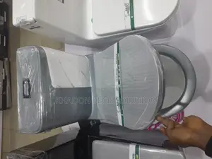 Grey Toilet Liangdu Seat