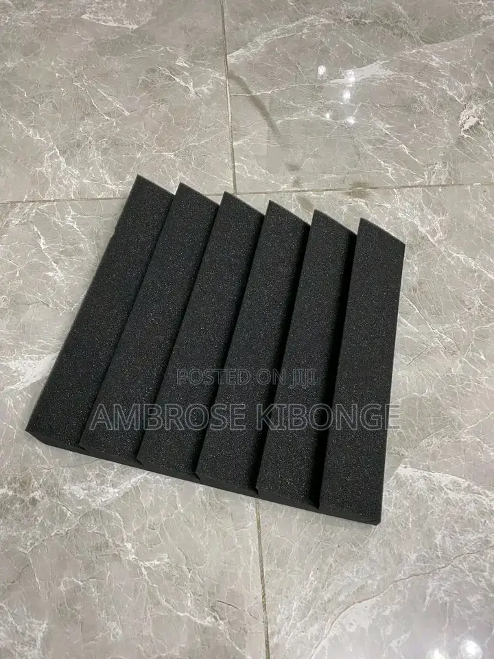 Full Size 4 by 6 Paired Acoustic Soundproof Wall Studio Foam