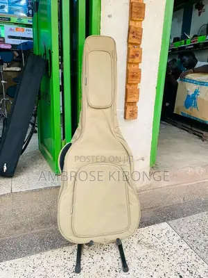 High Quality Double Padded Guitar Bag for All Box Guitars