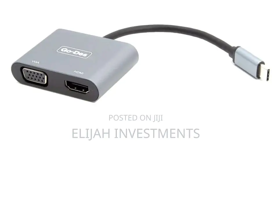 2in1 USB C to HD TV Plus VGA Converter