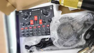 Professional Condenser Microphone