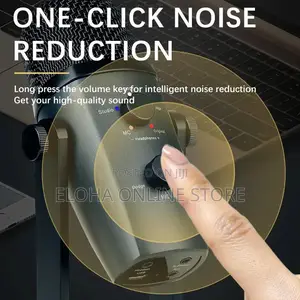 Pro Studio Desktop Condenser Microphone