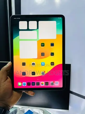 Apple iPad Pro 11 (2020) 256 GB Gray