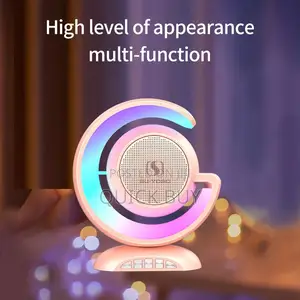 Multifunctional High Power Portable Speakers
