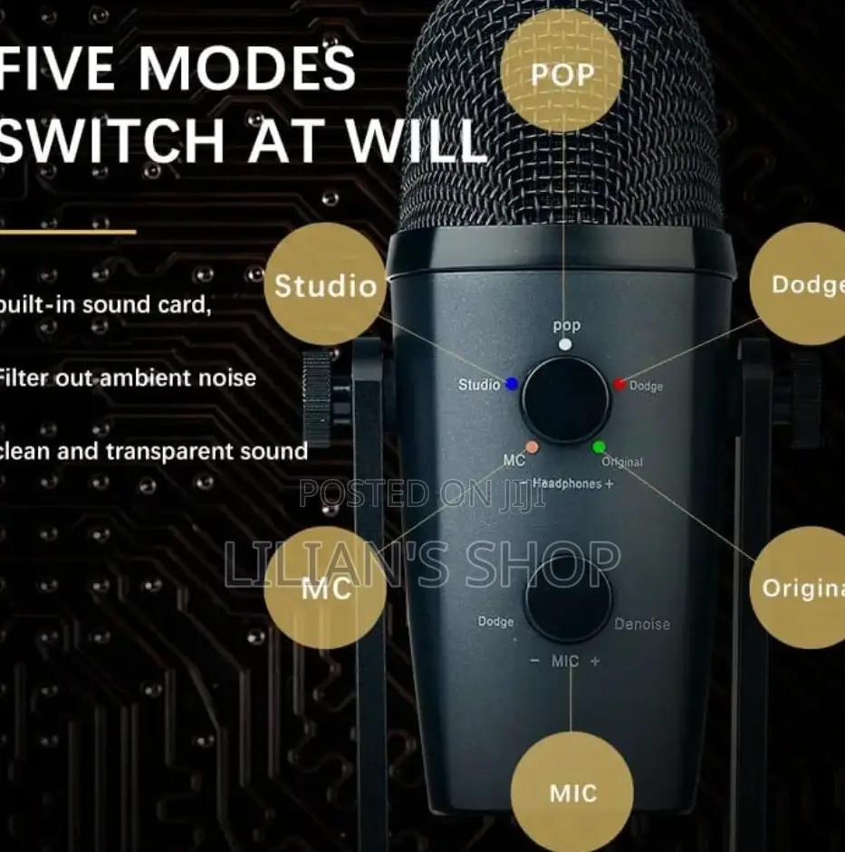 Pro Studio Desktop Condenser Microphone