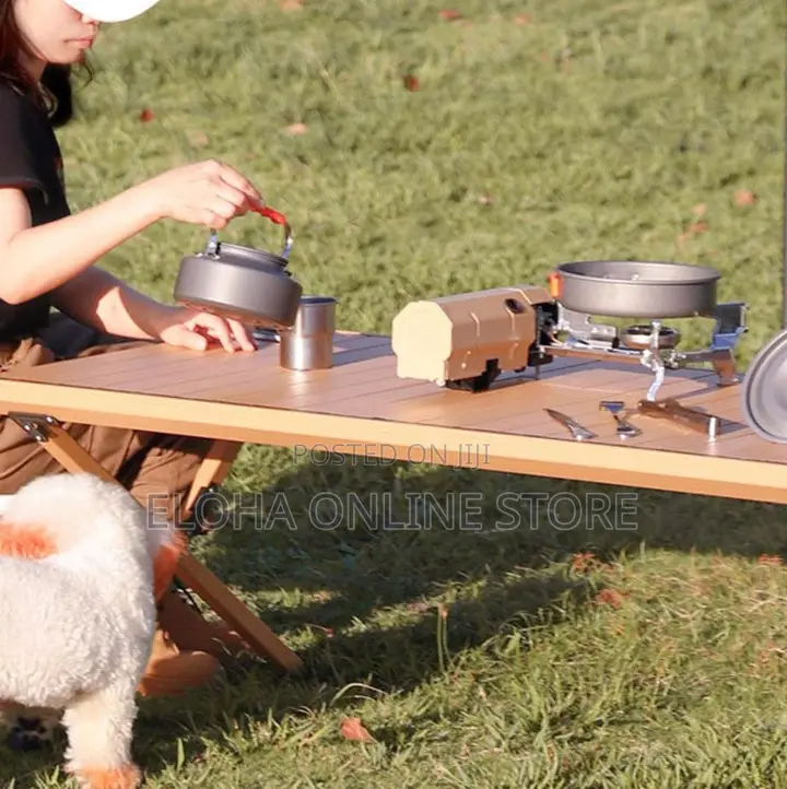 2600W Portable Camping Gas Stove