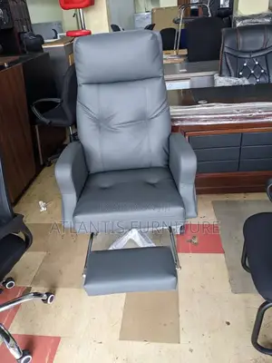 Gray Soft Executive Office Chair