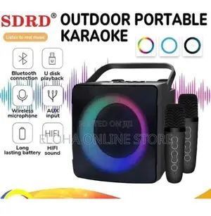 Portable Bluetooth Karoeke Speaker With2 Wireless Microphone