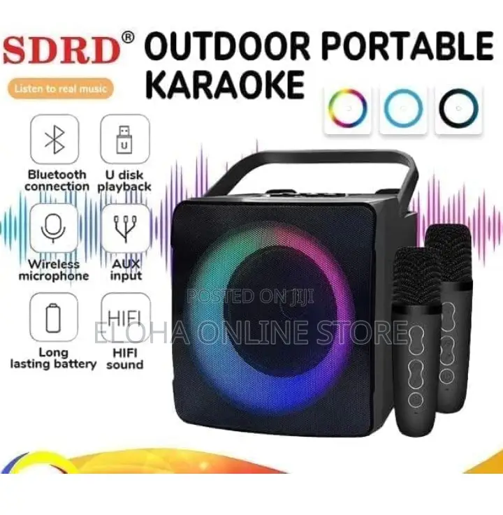 Portable Bluetooth Karoeke Speaker With2 Wireless Microphone