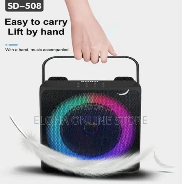 Portable Bluetooth Karoeke Speaker With2 Wireless Microphone