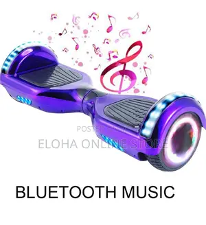 Self Balancing Electric Scooters