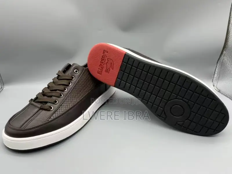 Classic Trending Sneakers