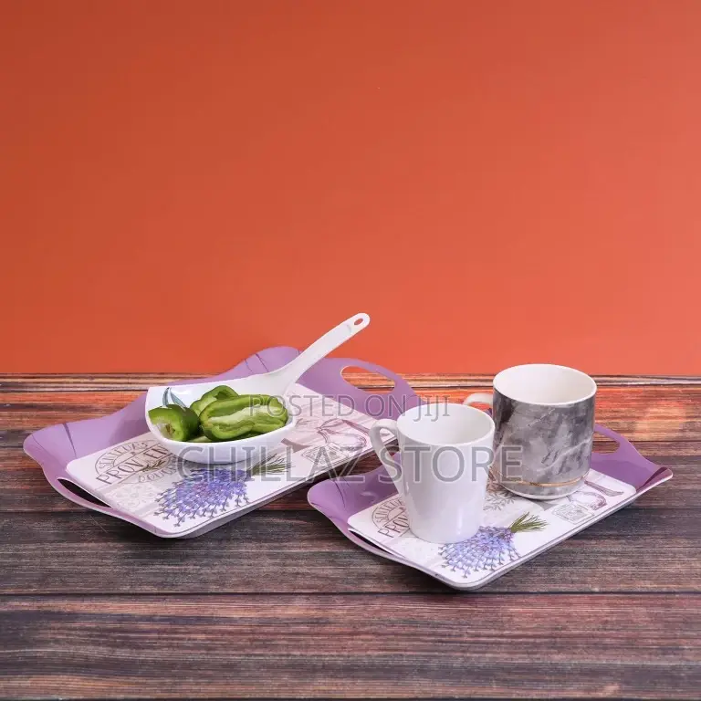 Delcasa DC1647 2pcs Melamine Tray Set