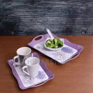 Delcasa DC1647 2pcs Melamine Tray Set