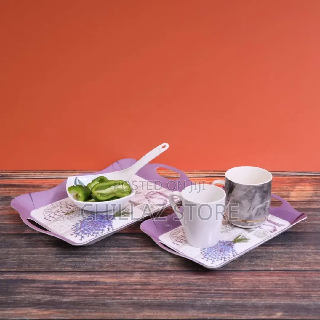 Delcasa DC1647 2pcs Melamine Tray Set
