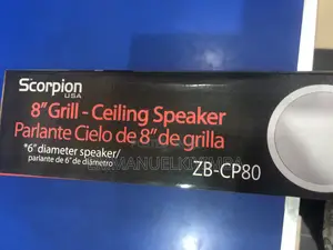 Philips Ceiling Speakers