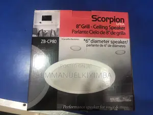 Philips Ceiling Speakers