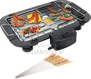 Indoor and Outdoor Electric BBQ Grill