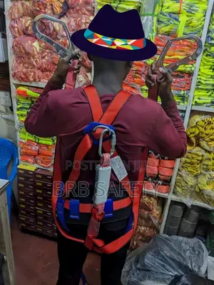 Safety Harness Double Hook
