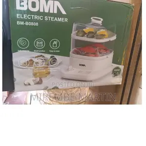 Boma Electric Steamer.